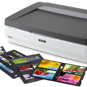 Epson Expression 13000XL Pro Flatbed scanner 2400 x 4800 DPI A3 Grijs, Wit