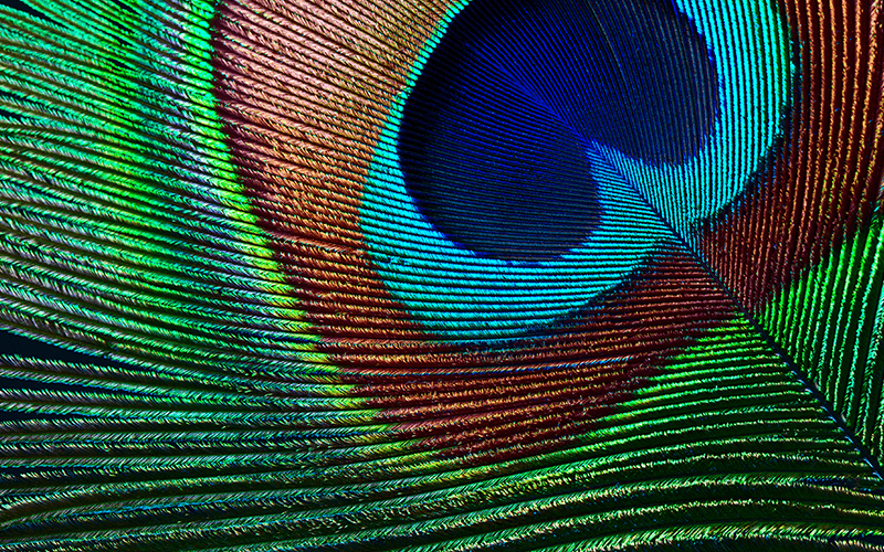 Epson EH-TW7000 4K PRO-UHD-projector, 3000 lumen, scherm van maximaal 500 inch - Afbeelding 18