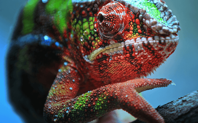 Epson EH-TW7100 4K PRO-UHD-projector, 3000 lumen, scherm van maximaal 500 inch - Afbeelding 17