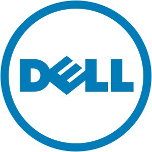 DELL 540-BDRR netwerkkaart Intern Fiber 64000 Mbit/s